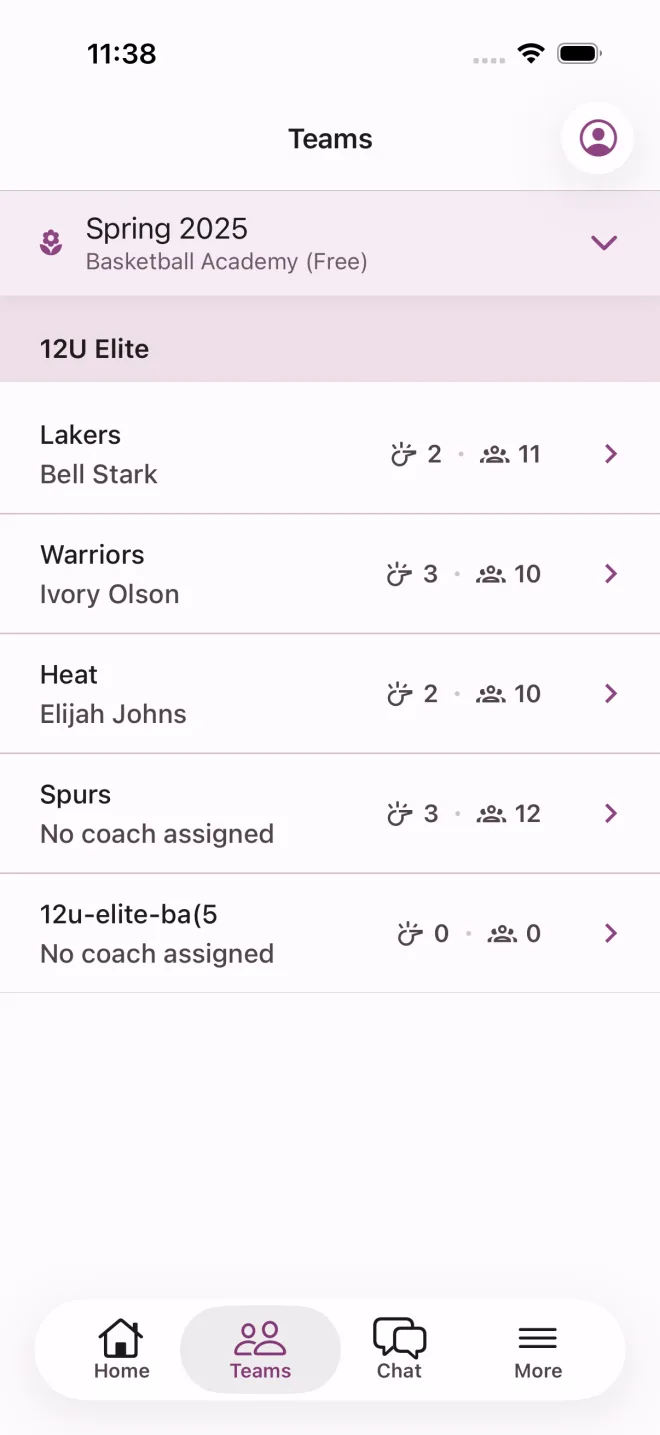 Bravara teams list with coaches and players